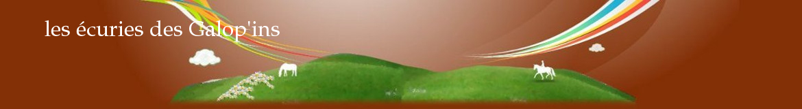 les écuries des Galop'ins